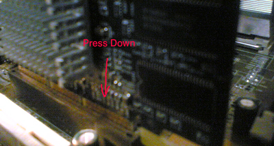 video card in agp slot